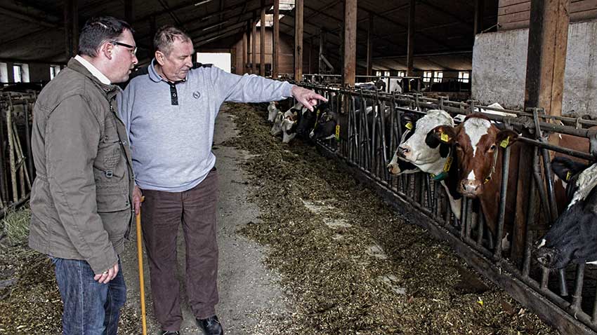 Ronny Wähner besichtigt den Kuhstall von Heinz Kaden in Schlettau.