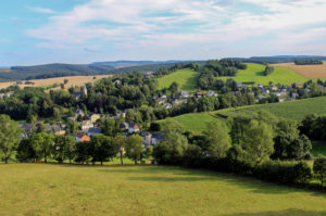 Blick auf Gelenau.