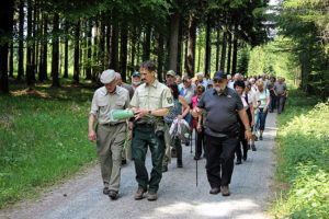 Waldspaziergang mit MdL Ronny Wähner und MdL Alexander Krauß im Neudorfer Forstbezirk.