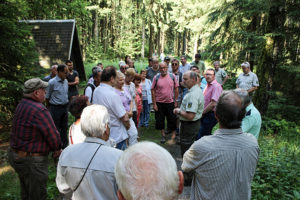Waldspaziergang in Ehrenfriedersdorf.
