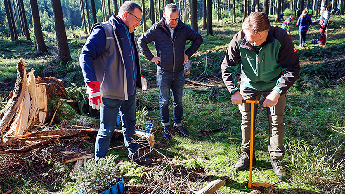 Baumpflanzaktion in Geyer