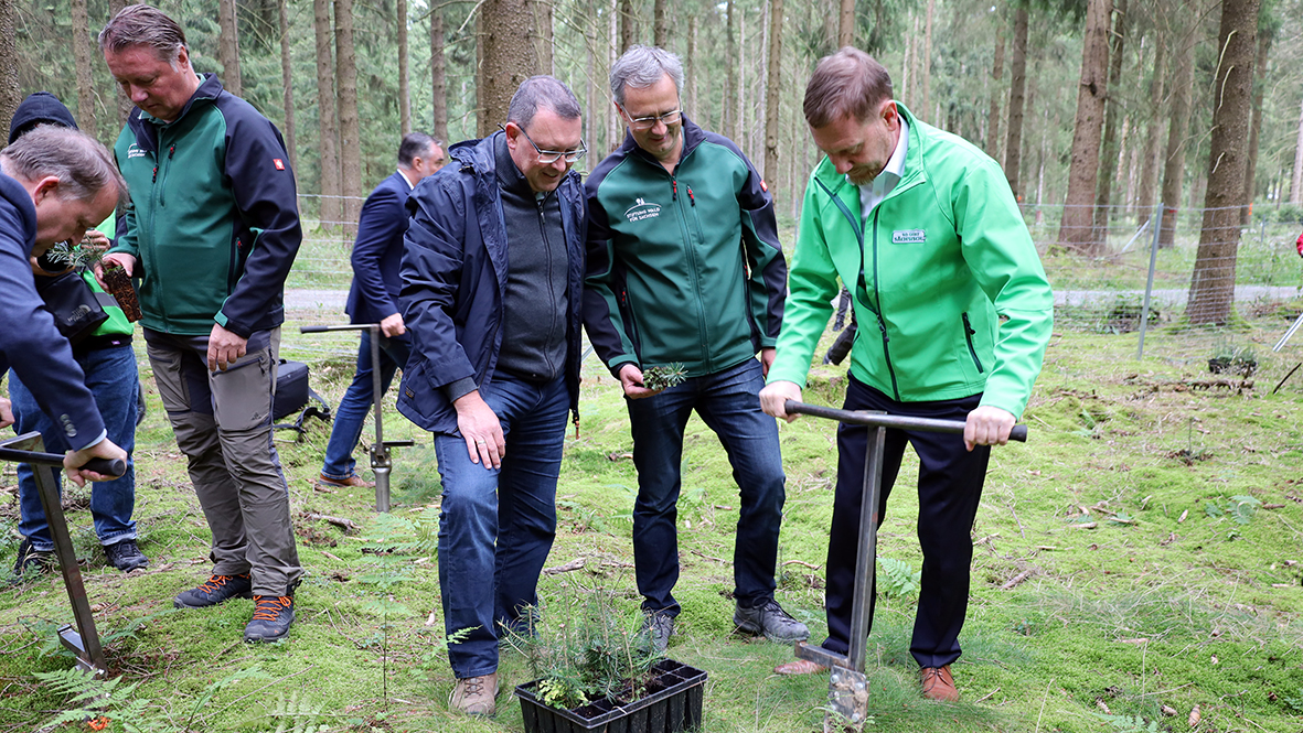 Baumpflanzaktion im Wald von Geyer.